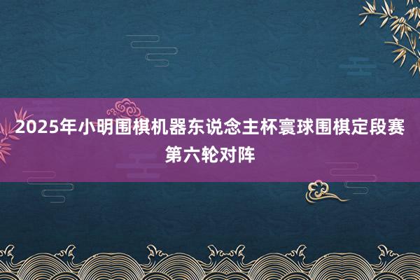 2025年小明围棋机器东说念主杯寰球围棋定段赛第六轮对阵