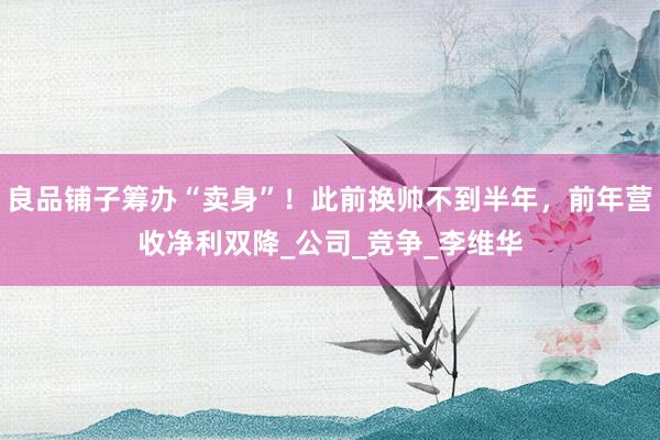 良品铺子筹办“卖身”！此前换帅不到半年，前年营收净利双降_公司_竞争_李维华