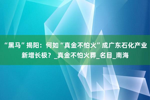 “黑马”揭阳：何如“真金不怕火”成广东石化产业新增长极？_真金不怕火葬_名目_南海