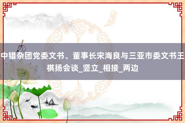 中错杂团党委文书、董事长宋海良与三亚市委文书王祺扬会谈_竖立_相接_两边