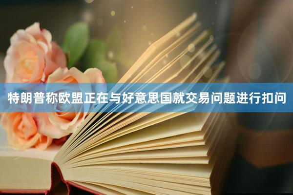 特朗普称欧盟正在与好意思国就交易问题进行扣问