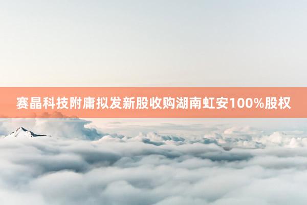 赛晶科技附庸拟发新股收购湖南虹安100%股权