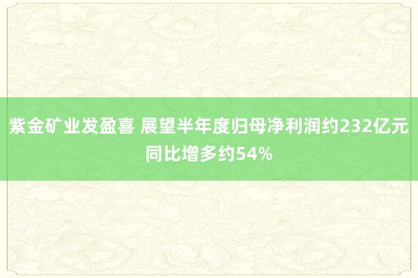 紫金矿业发盈喜 展望半年度归母净利润约232亿元同比增多约54%
