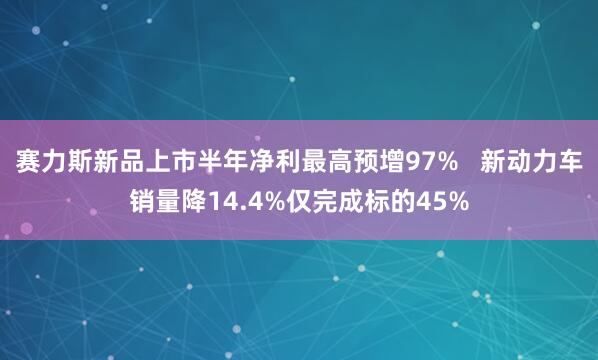 赛力斯新品上市半年净利最高预增97%   新动力车销量降14.4%仅完成标的45%