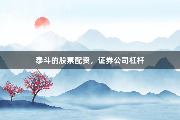 泰斗的股票配资，证券公司杠杆