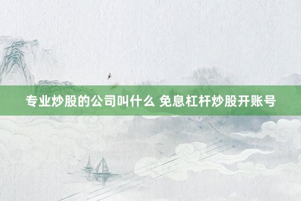 专业炒股的公司叫什么 免息杠杆炒股开账号