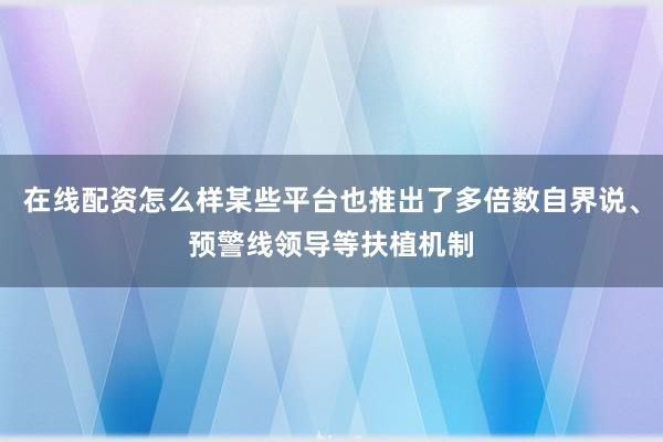 在线配资怎么样某些平台也推出了多倍数自界说、预警线领导等扶植机制