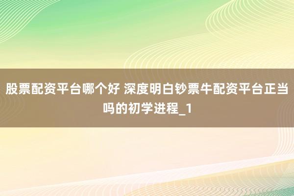 股票配资平台哪个好 深度明白钞票牛配资平台正当吗的初学进程_1