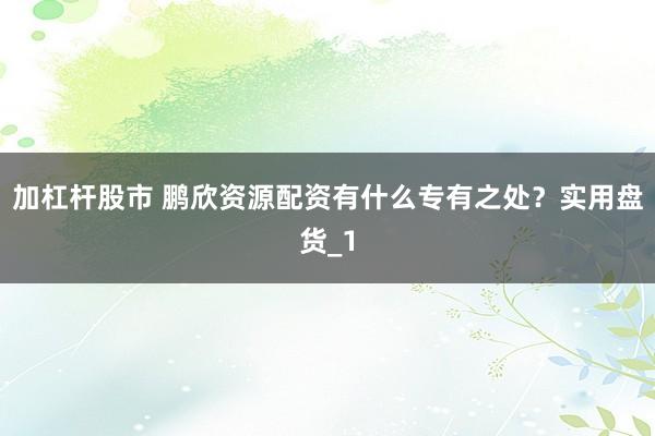 加杠杆股市 鹏欣资源配资有什么专有之处?实用盘货_1