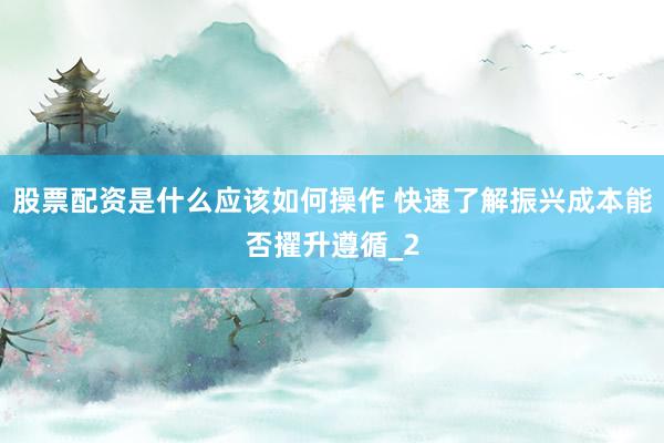 股票配资是什么应该如何操作 快速了解振兴成本能否擢升遵循_2